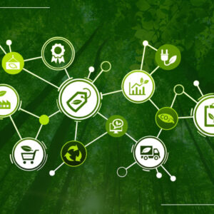 Strategi Green Supply Chain Management: Cara Mengurangi Jejak Karbon Distribusi Logistik UMKM