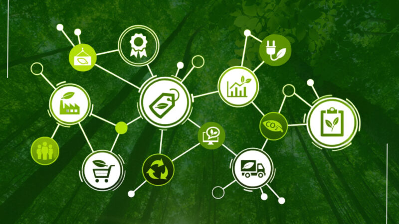 Strategi Green Supply Chain Management: Cara Mengurangi Jejak Karbon Distribusi Logistik UMKM